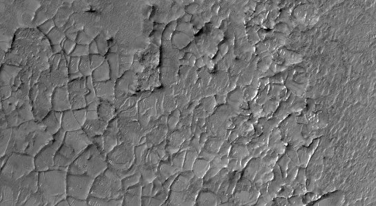 A System of Ridges