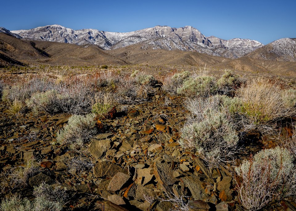 Inyo Mountains Wilderness