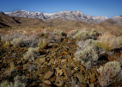 Inyo Mountains Wilderness