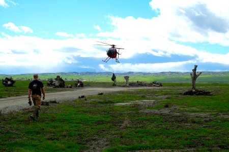 Elk transport in the Bakersfield Field Office photo