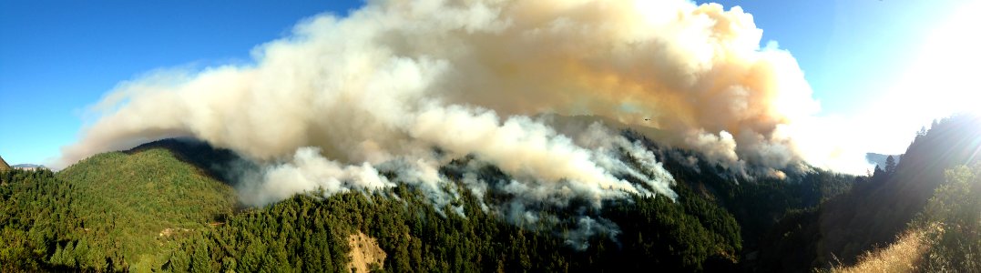 Lodge Fire Burnout