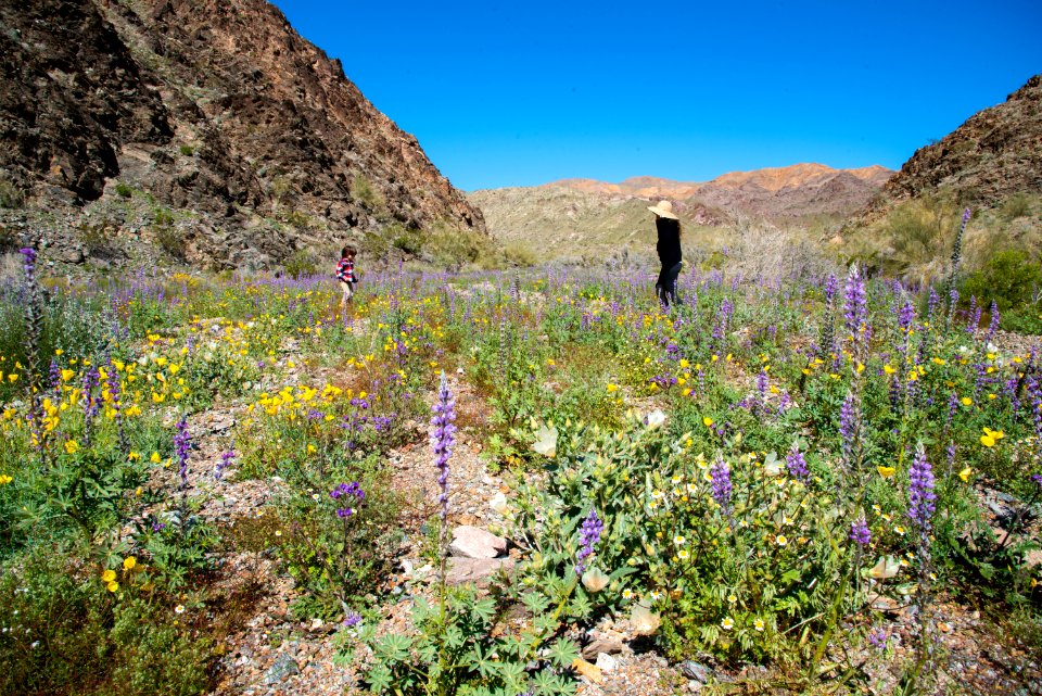 Bradshaw Trail National Back Country Byway