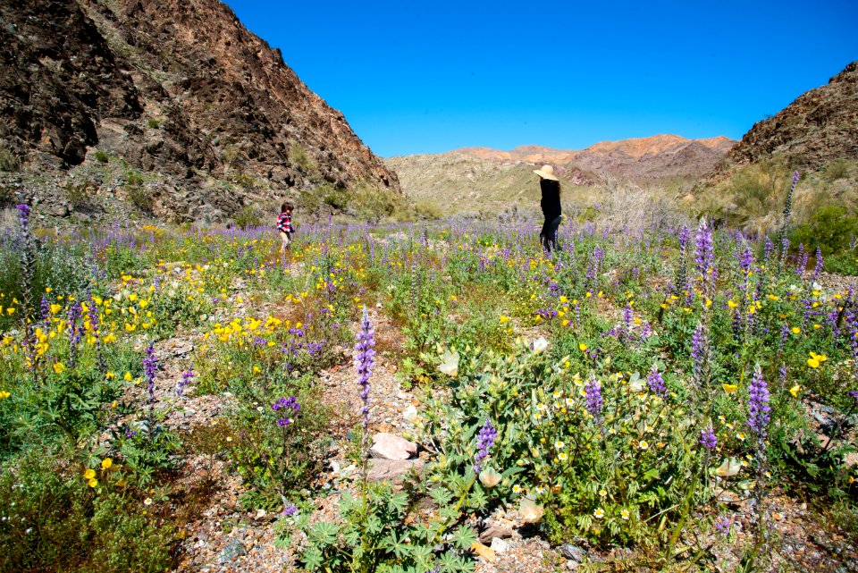 Bradshaw Trail National Back Country Byway photo