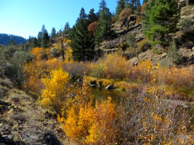 South Side Trail