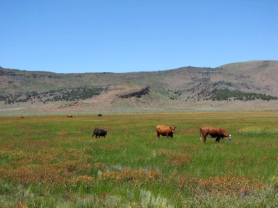 Surprise Valley Barrel Springs Back-Country Byway
