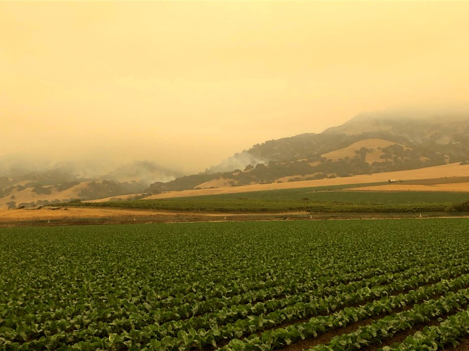 River Fire threatening the Ft. Ord National Monument