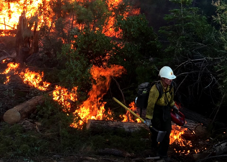 Wildland firefighting in Central California.