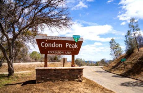Condon Peak Campground photo