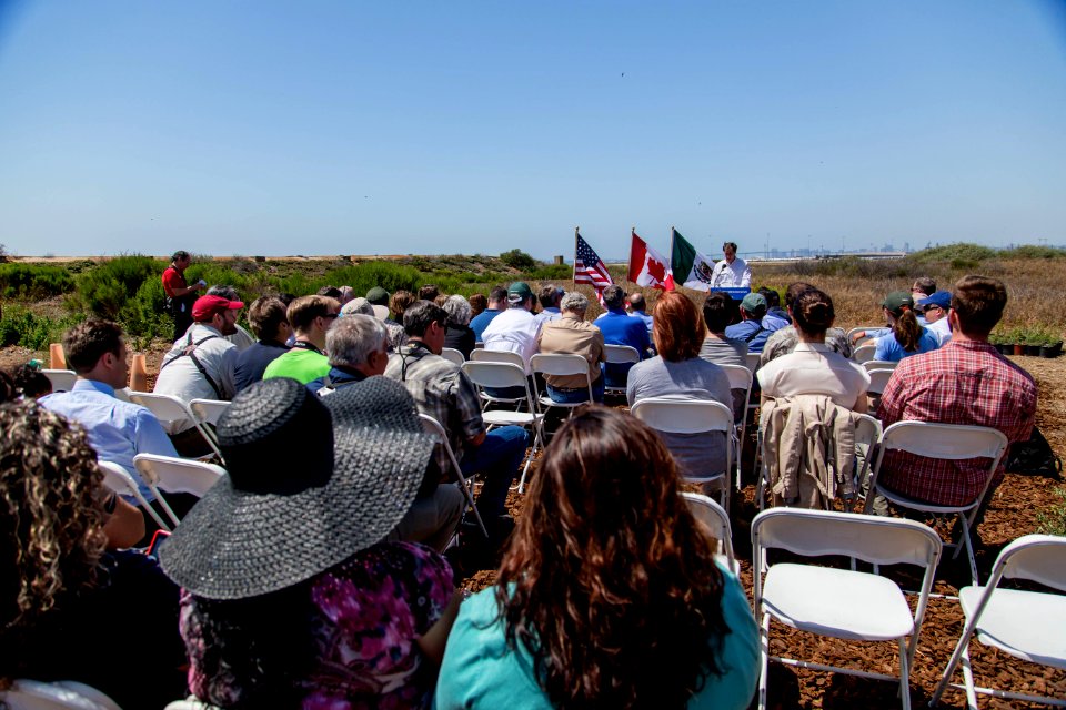 San Diego Bay National Wildlife Refuge - Wilkweed Planting Event