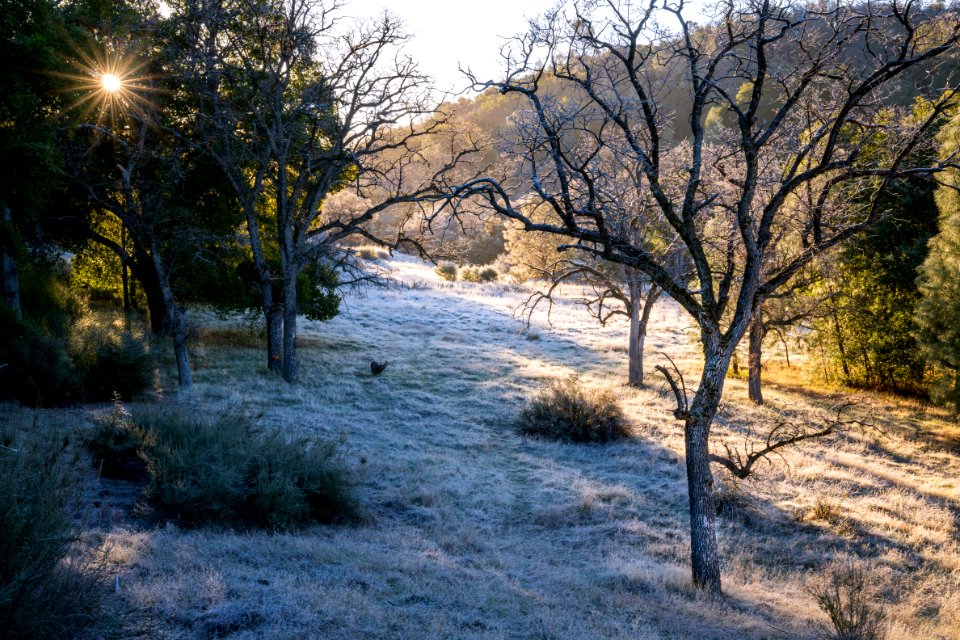 Sweetwater Campground