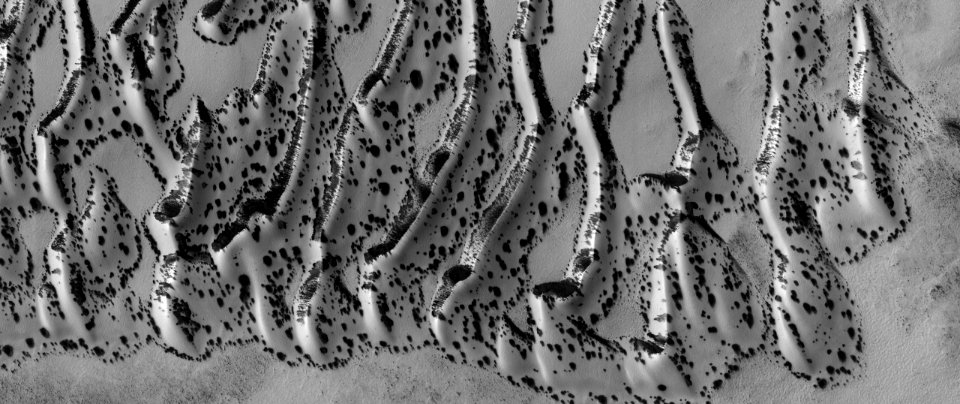 Dalmatian Dunes