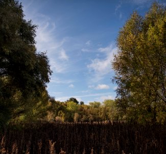 Cosumnes River Preserve