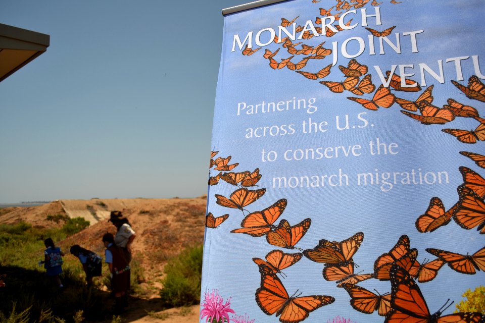 San Diego Bay National Wildlife Refuge - Milkweed Planting Event
