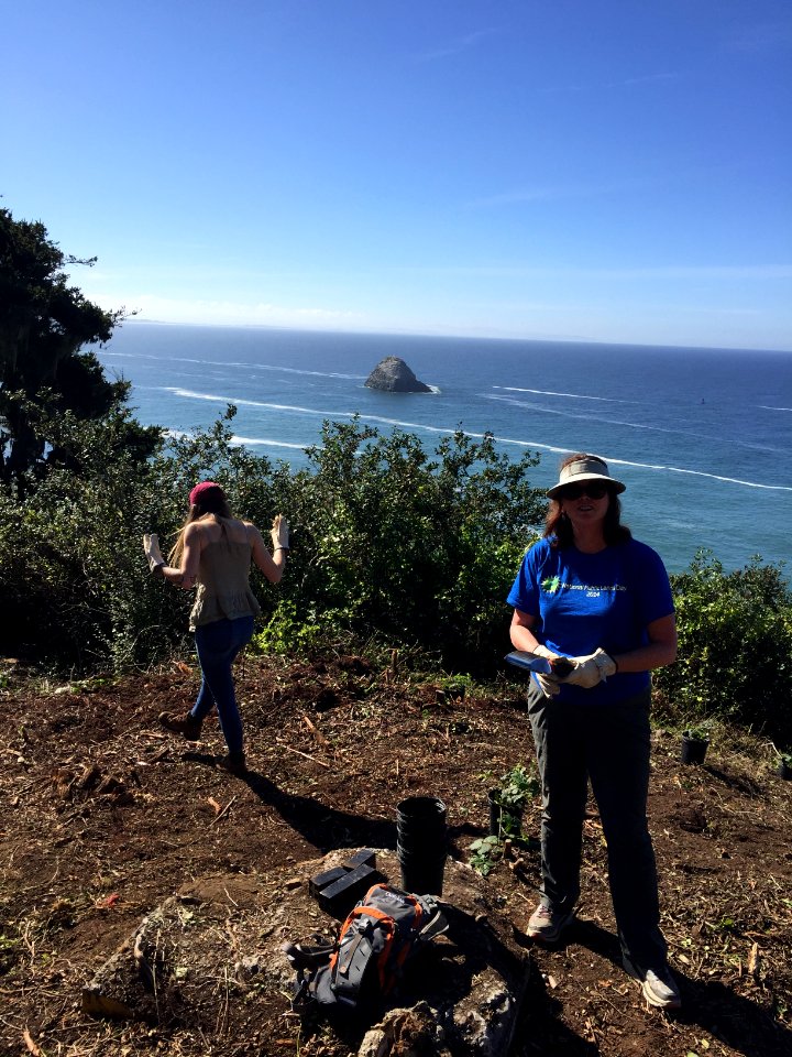#NPLD 2017: Planting Native Plants