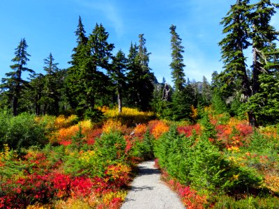 Autumn at Artist Point in WA