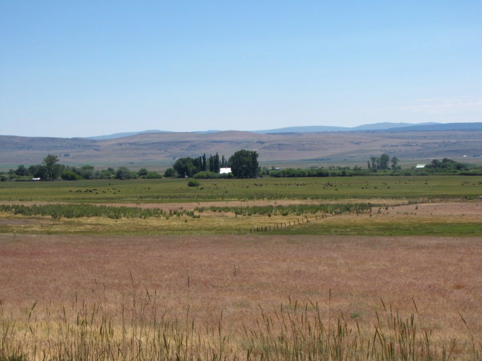 Surprise Valley Barrel Springs Back-Country Byway