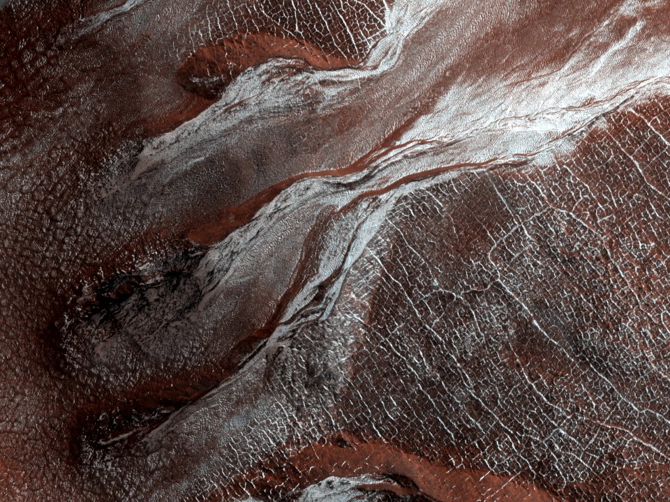 Frost Highlights in the Springtime