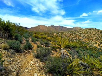 Clark Mountains, Needles Field Office