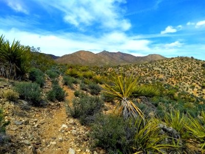 Clark Mountains, Needles Field Office photo