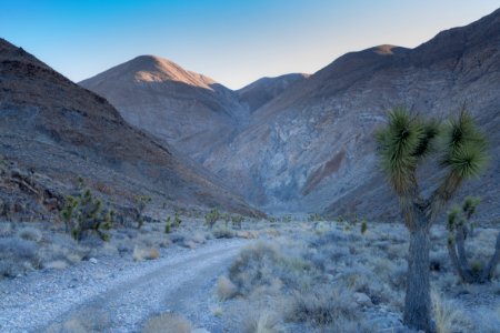 Inyo Mountain Wilderness