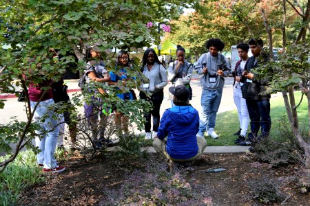 2017 California Youth Summit