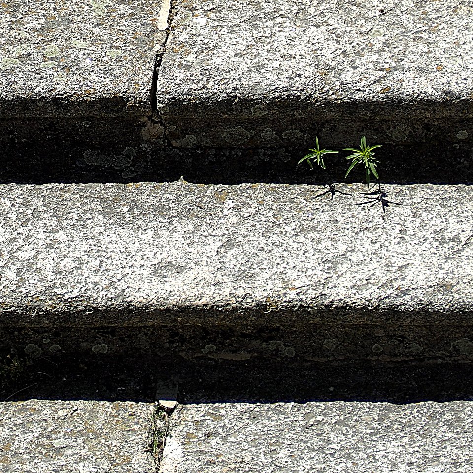 Detalle escaleras 2