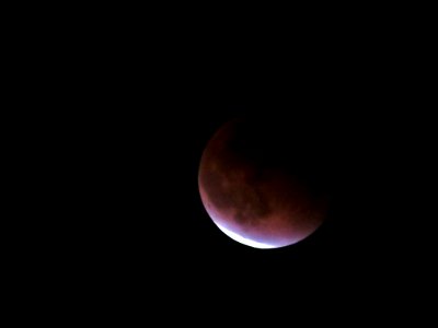 Super Moon Lunar Eclipse in WA 9/27/15 photo
