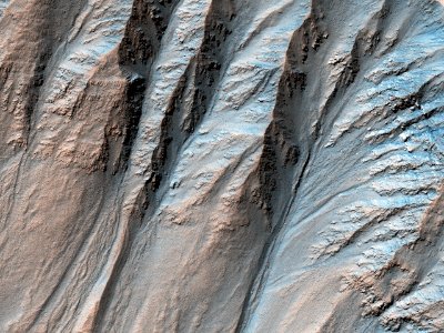 Complex Gullies in a Crater
