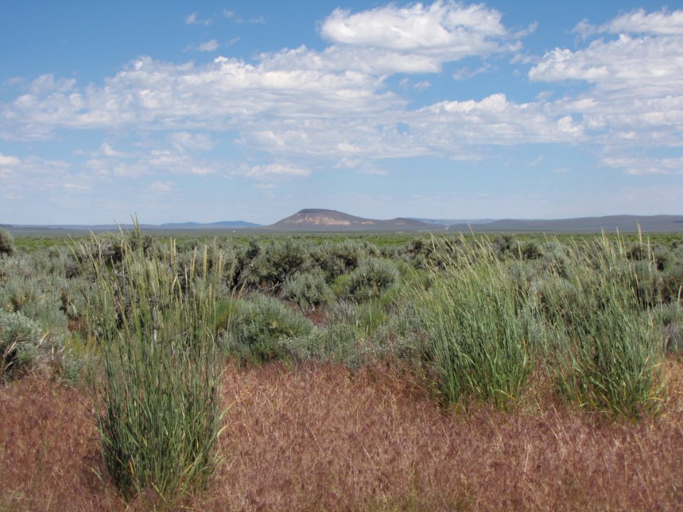 Surprise Valley Barrel Springs Back-Country Byway