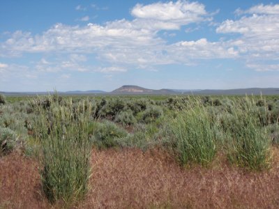 Surprise Valley Barrel Springs Back-Country Byway