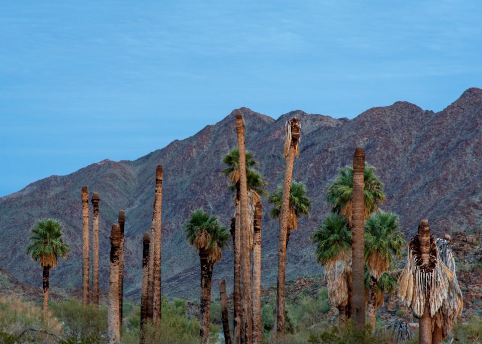 Corn Springs Campground