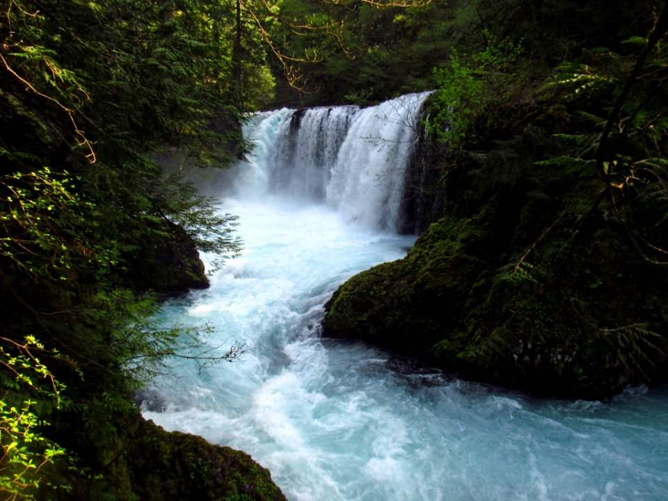 Spirit Falls Trail on Little White Salmon River in WA