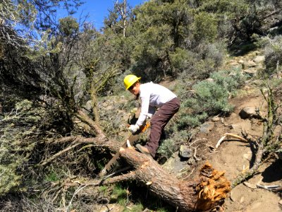 Preserving Wilderness Characteristics with Crosscut in Owens Peak in Bakersfield Field Office