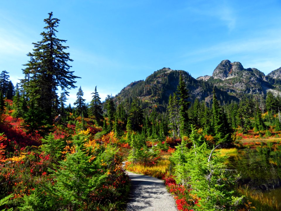 Autumn at Artist Point in WA