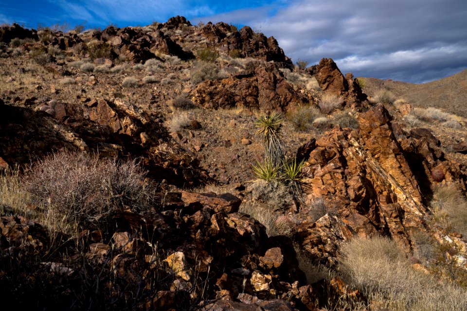 South Nopah Wilderness