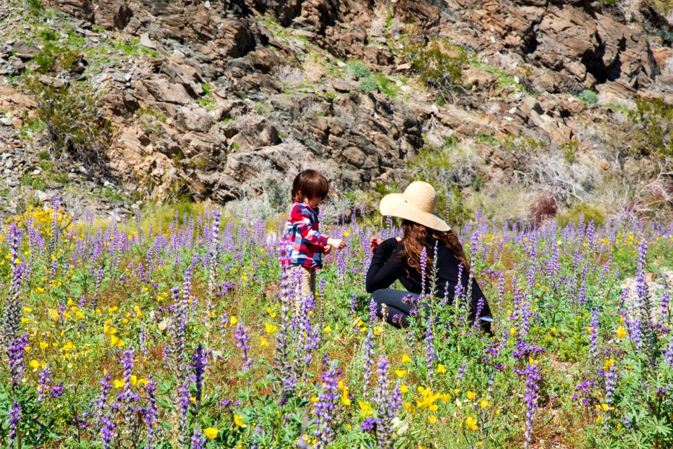 Bradshaw Trail National Back Country Byway