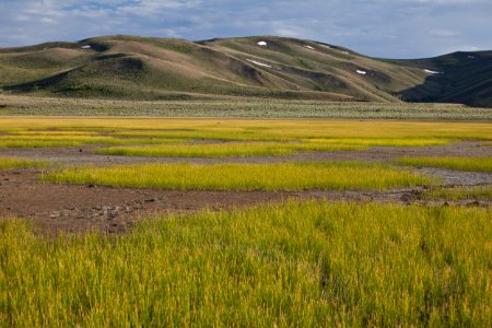 Bodie Hills