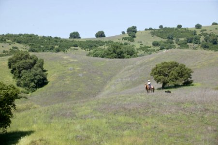 Cronan Ranch