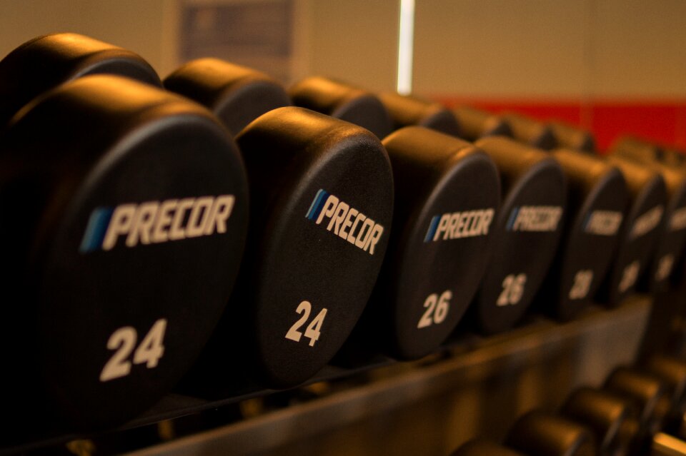 Lifting weights fitness exercise