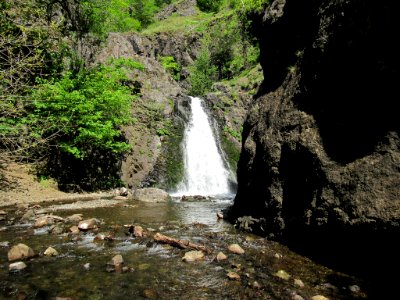 Dog Creek Falls in Washington photo