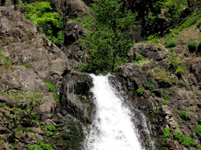 Dog Creek Falls in Washington