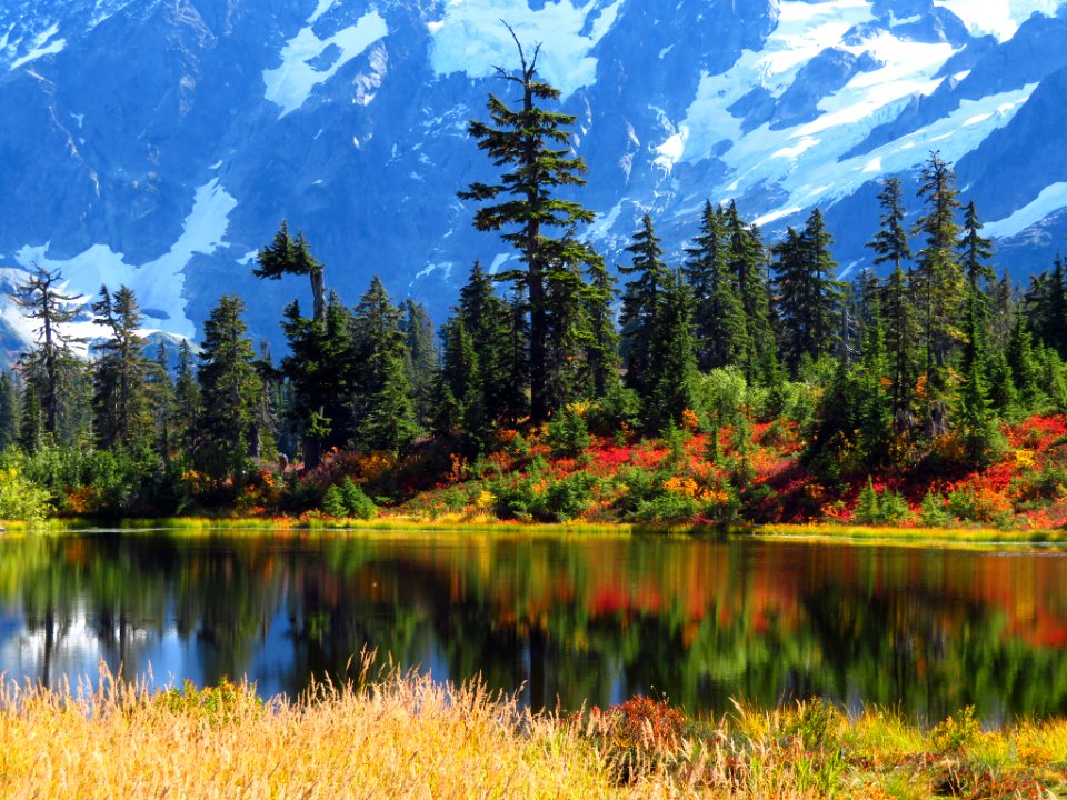 Autumn at Picture Lake in WA