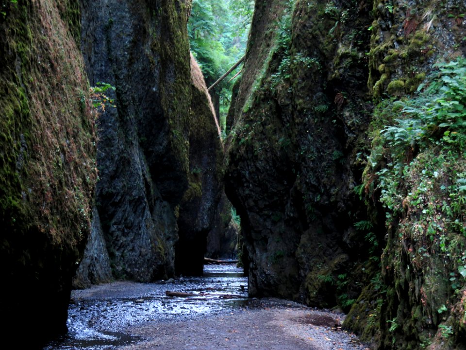 Oneonta Gorge in Oregon