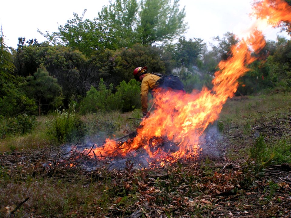 Prescribed Burn in the Mother Lode Field Office