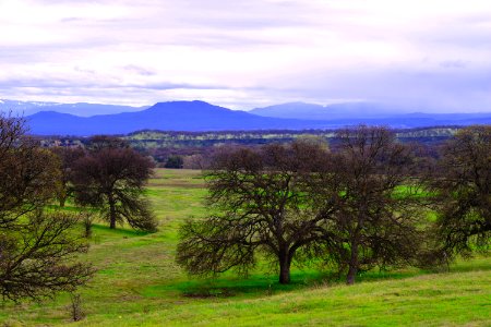 Sacramento River Bend Outstanding Natural Area