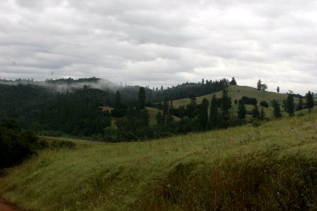Cronan Ranch