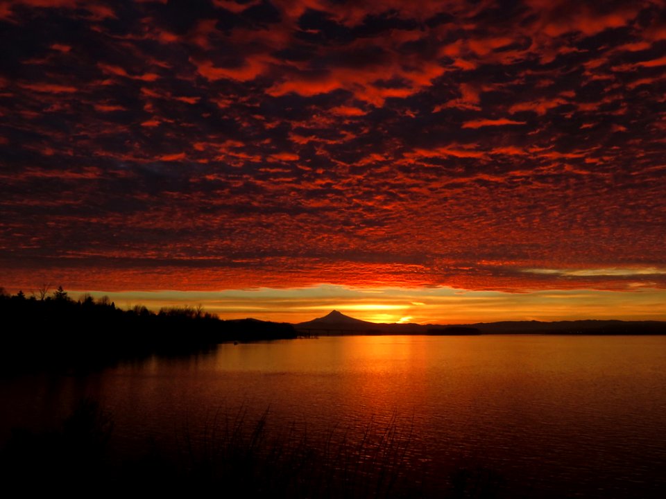 Sunrise at Columbia River and Mt. Hood