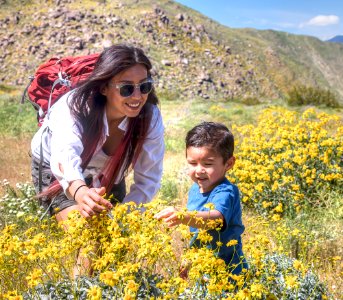 Pacific Crest Trail photo