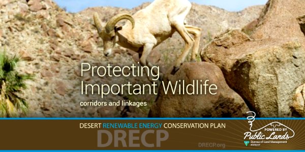 Desert Renewable Energy Conservation Plan
