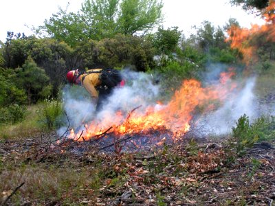 Prescribed Burn in the Mother Lode Field Office